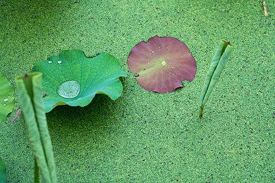 顽皮狗新作《星际：异端先知》女主演员公开